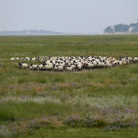 Logis De La Dune - & Restaurant