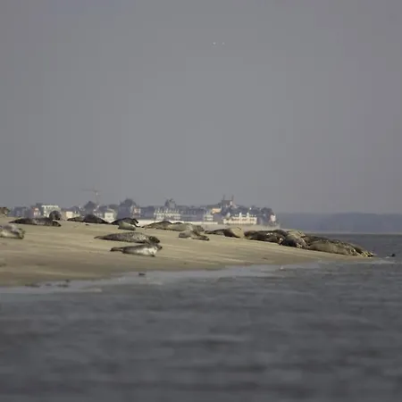 Hotel Logis De La Dune - & Restaurant 3*
