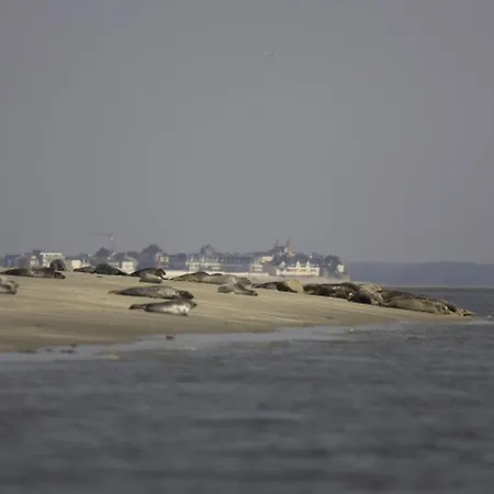 Hotel Logis De La Dune - & Restaurant Le Crotoy