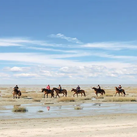 Logis De La Dune - & Restaurant