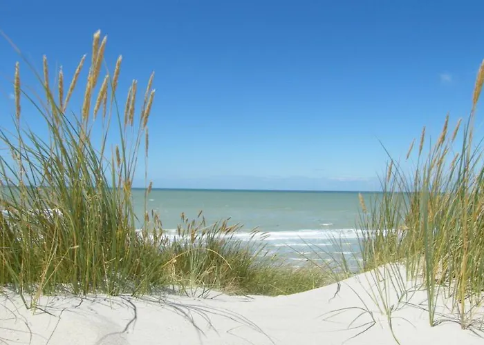 Logis De La Dune - Hôtel&restaurant Hotel