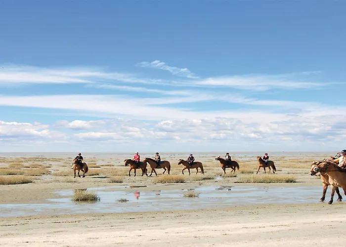 Logis De La Dune - Hôtel&restaurant