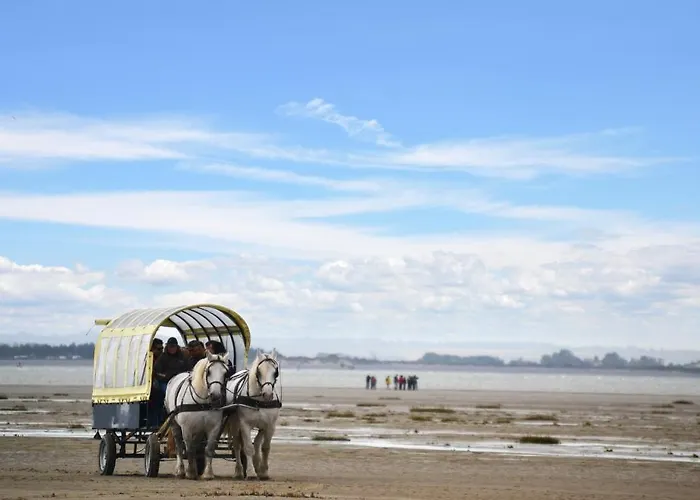 Hotel Logis De La Dune - Hôtel&restaurant 3*